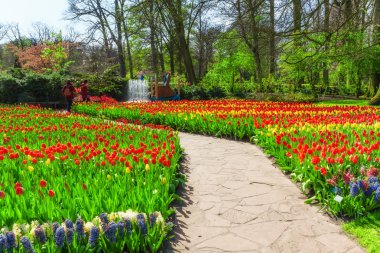 Bahar Parkı Keukenhof. Lisse, Hollanda.