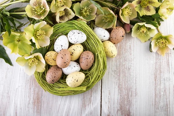 Nido de Pascua con huevos de Pascua en madera clara vista superior — Foto de Stock