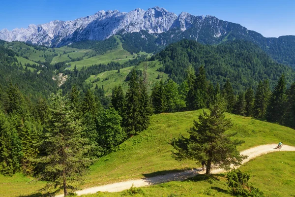 Alp Dağları manzara. Wilder Kaiser aralığı, Avusturya, Tirol görünümünü — Stok fotoğraf