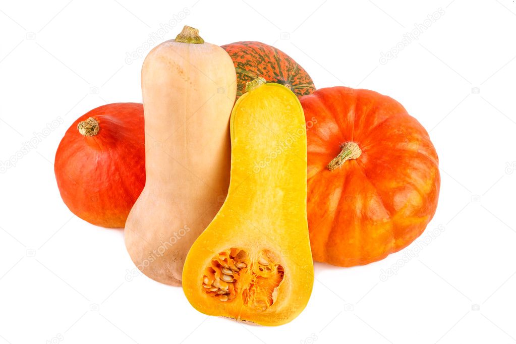 Colorful Pumpkins over White. Pumpkins different squash isolated on white