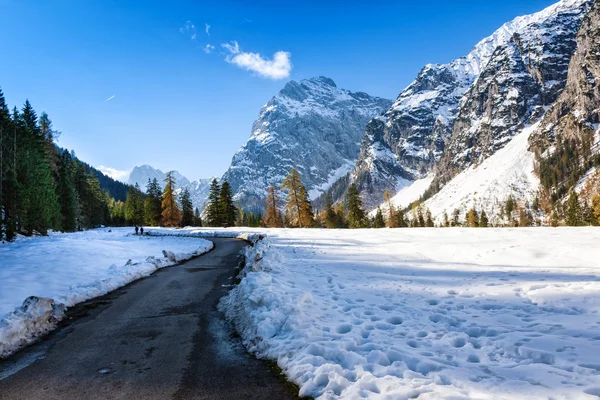 Caminho através da paisagem de montanha no início do inverno. queda de neve no final da temporada de outono — Fotografia de Stock