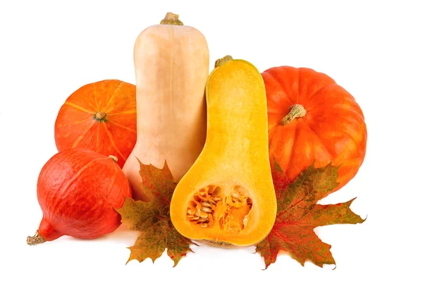 Pumpkin with fall leaves on white. Various of orange pumpkins isolated on white background — Stock fotografie