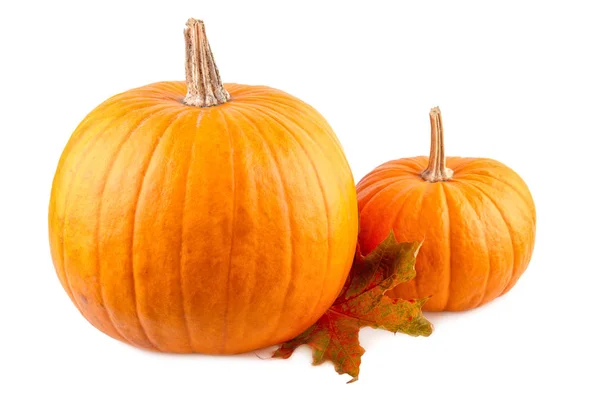 Squash con hojas de otoño en blanco. Calabazas anaranjadas aisladas sobre fondo blanco — Foto de Stock