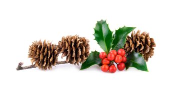holly Karpuzu ve Karaçam koniler beyaz Noel dekorasyon