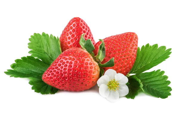 Fresas fresa orgánica con hoja verde sobre blanco — Foto de Stock
