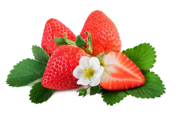 Fresh organic strawberry with leaves and flower on white — Stock Photo, Image