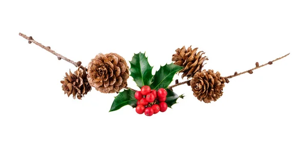 Kerst organische compositie bij holly bessen en Lariks cones op wit — Stockfoto