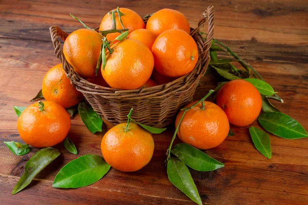 Mandarins.Tangerines sepet organik meyve tatlı. — Stok fotoğraf
