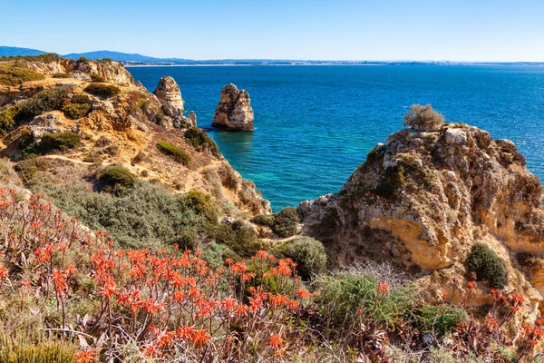 Algarve-kysten med blomster nær Lagos Portugal – stockfoto