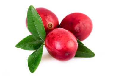 Beyaz izole kızılcık closeup üç kızılcık 