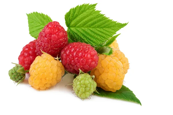 Isolated raspberry Yellow and red raspberries with leaves isolated on white background — Stock Photo, Image