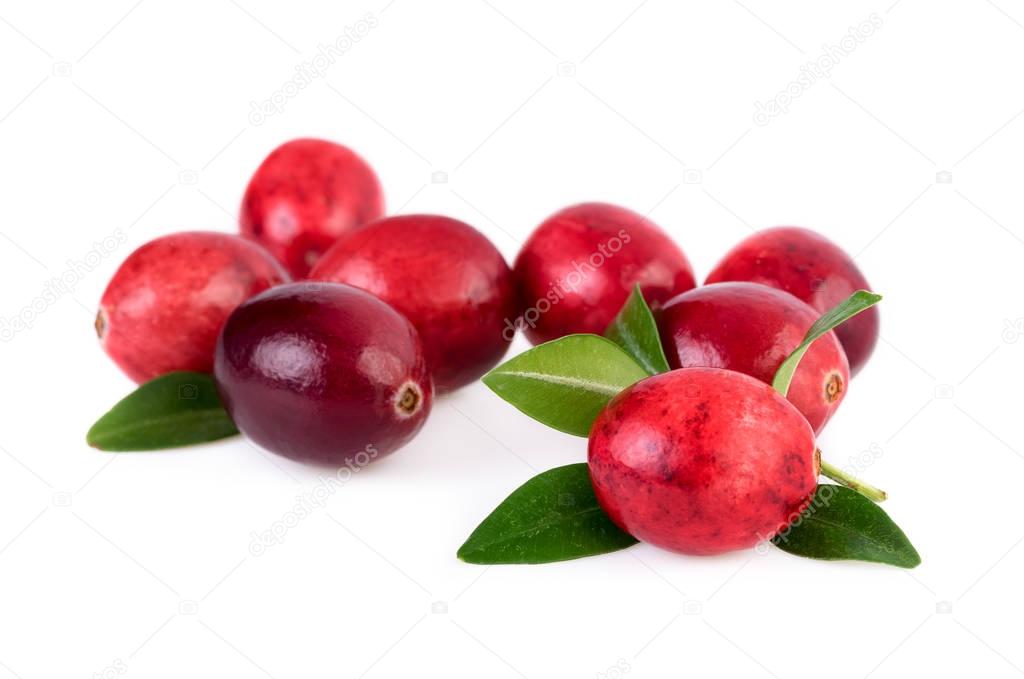 Cranberries isolated. Ripe cranberry with leaves isolated on white background