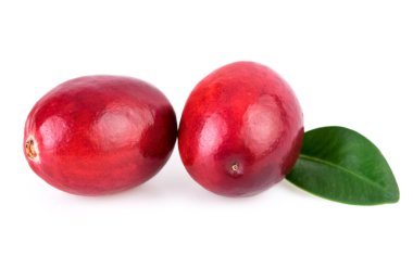 Kızılcık yakın çekim iki taze kızılcık beyaz izole 