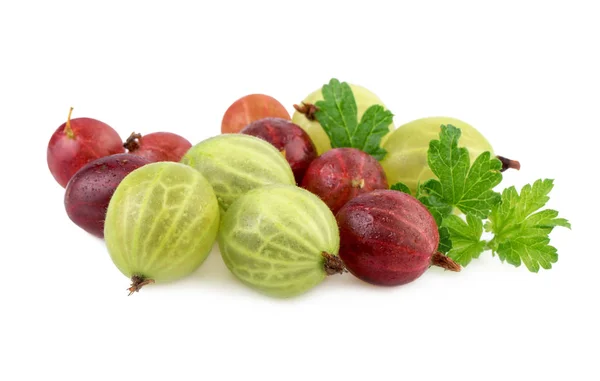 Isolated gooseberry. Green and red gooseberries isolated on white — Stock Photo, Image