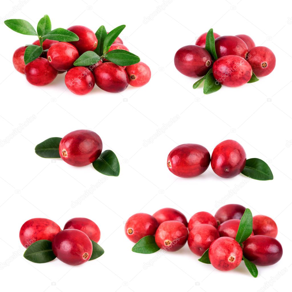 Collection of cranberries with green leaves isolated on white. Fresh cranberry arrangement set collage