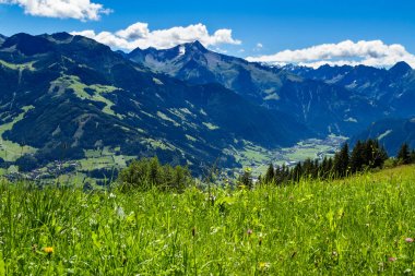 Mountain view ön planda yeşil çayır ile. Zillertal High Road, Avusturya, Tyrol