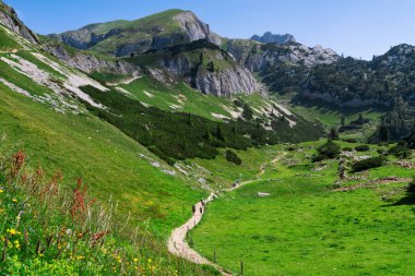 Dağlarda hiking. Avusturya seyahat, Achensee alan, Tirol