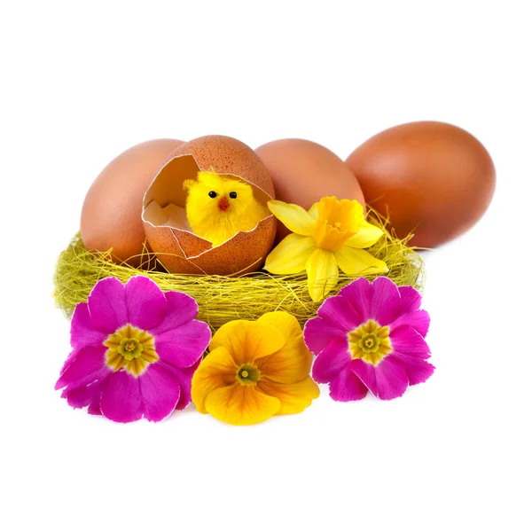 Rolig påsk Äggdekoration med gula Chick och blommor — Stockfoto