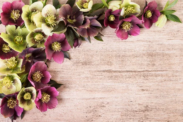 Fundo vintage com flores de primavera arranjo cores pastel espaço cópia, flat lay Imagens Royalty-Free