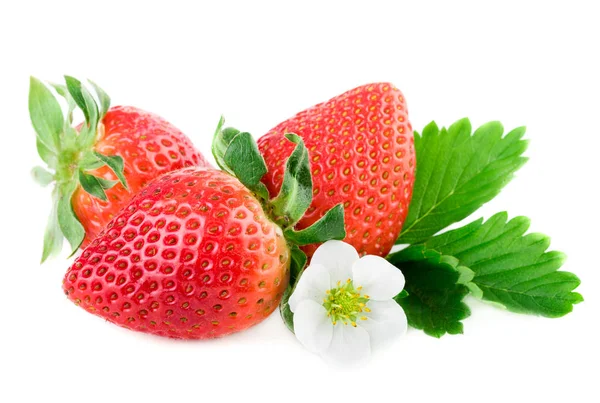 Fresas orgánicas fresa en blanco — Foto de Stock