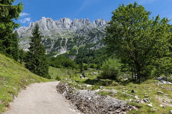 Paysage de montagnes d'été. Randonnées dans les Alpes, Kaiser Mountains, Autriche, Tyrol — Photo