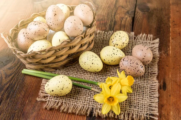 Easter Egg basket decoration on old wood. Light effect — Stock Photo, Image