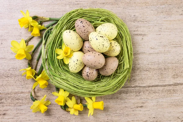 Spring Flowers with Easter Eggs in green straw nest on light brown background — Stock Photo, Image