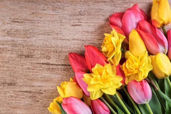 Brillantes tulipanes flores de narciso con espacio de texto —  Fotos de Stock