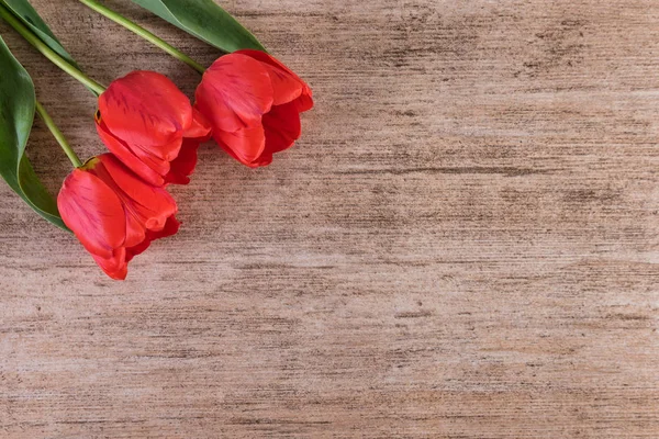 Tulipes rouges sur fond de pierre brun clair. Style minimaliste, espace de copie — Photo