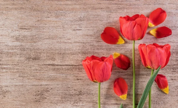 Arreglo decorativo tulipanes rojos sobre fondo marrón claro. Espacio de texto dejado —  Fotos de Stock