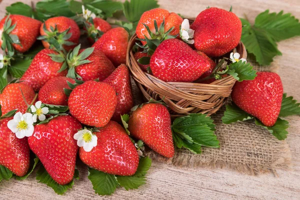 Reife Erdbeeren Nahaufnahme auf rustikalem Hintergrund — Stockfoto