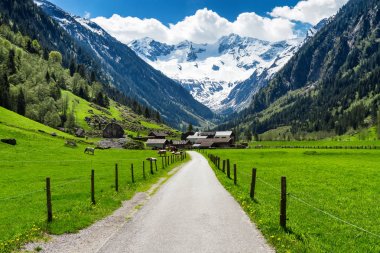 İlkbahar Yaz Dağları Alp Köyü ve arka planda karlı zirveleri ile manzara. Stillup, Avusturya, Tirol