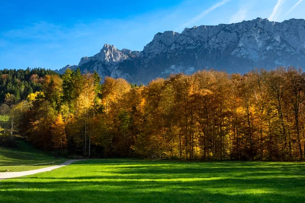 Paisaje montañoso otoñal con bosque otoñal y cordillera al fondo. Austria, Tirol, Tirol — Foto de Stock