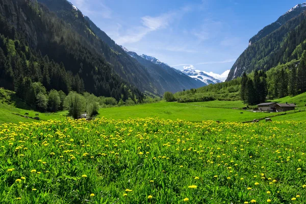 Austrian landscape with meadows and mountains in the springtime. Austria, Tirol, Zillertal, Stillup valley. — Stock Photo, Image