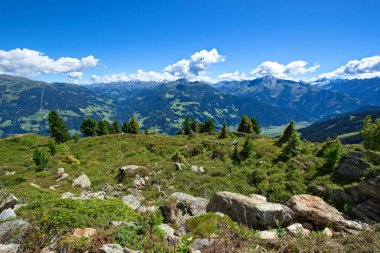 Yaz dağ manzarası inanılmaz yeşil çayır ve taşlar ön planda. Avusturya, Tirol, Zillertal, Zillertal yüksek Alp yol