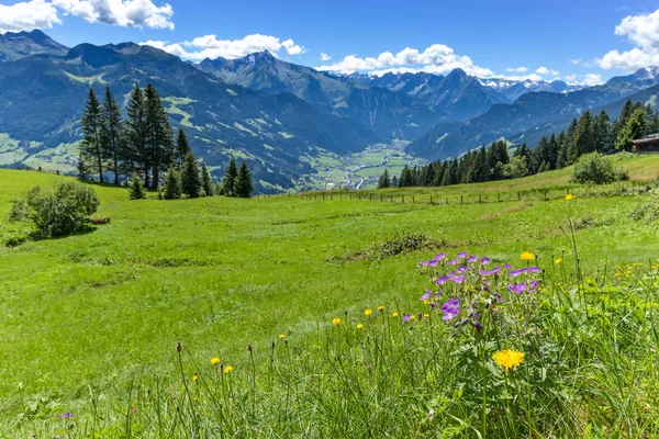 Vista alpina de la montaña con prado verde brillante en primer plano. Austria, Tirol, Zillertal, Zillertal High Alpine Road —  Fotos de Stock