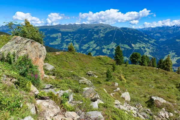 Summer mountain view with green meadow and stones in the foreground. Austria, Tirol, Zillertal, Zillertal High Alpine Road — Stock Photo, Image