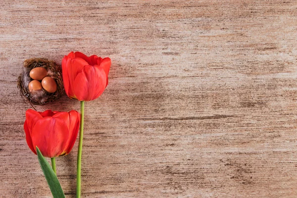 Tulipe rouge avec nid d'oiseau sur fond vintage marron. Vue du dessus, espace texte — Photo