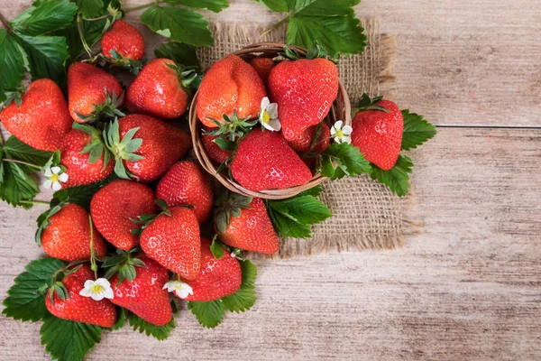 Korb mit frischen Erdbeeren mit Blättern auf Vintage-Hintergrund Draufsicht auf reife Erdbeerfrüchte — Stockfoto