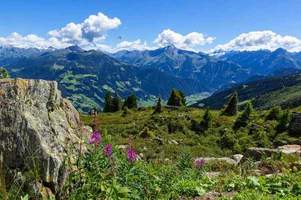 Altas montanhas vista com prado verde e pedras em primeiro plano. Zillertal High Alpine Road, Áustria, Tirol, Zillertal — Fotografia de Stock