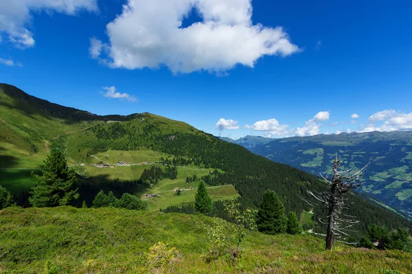 Uitzicht Alpen Zillertal Hoge Alpenweg, Oostenrijk, Tirol, Zillertal — Stockfoto