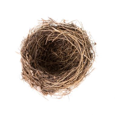 Beyaz, en iyi görünüm izole kuş yuvası. Ortak blackbird boş yuva 
