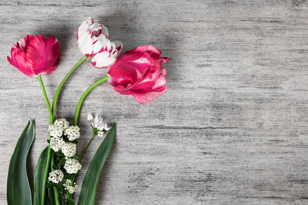 Tulpen lente bloemen op grijze stenen achtergrond met tekst ruimte — Stockfoto