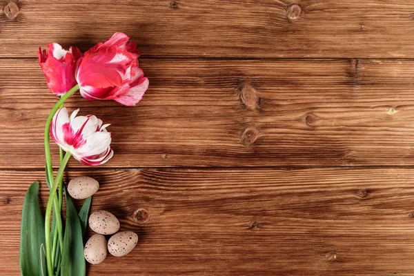 Tulipes fleurs et oeufs décoration sur fond bois. Vue du dessus, espace texte — Photo