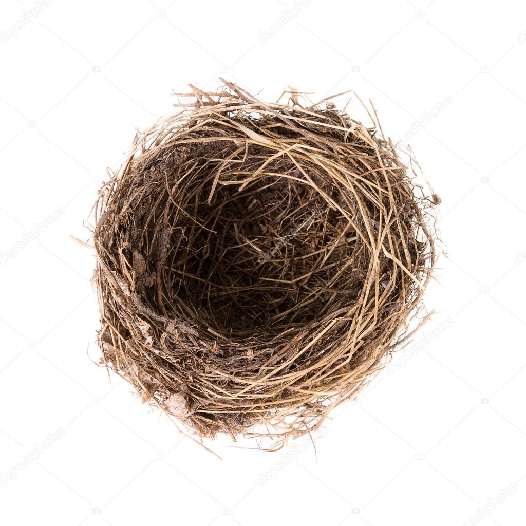 Bird nest isolated on white, top view.  Empty nest of common blackbird 