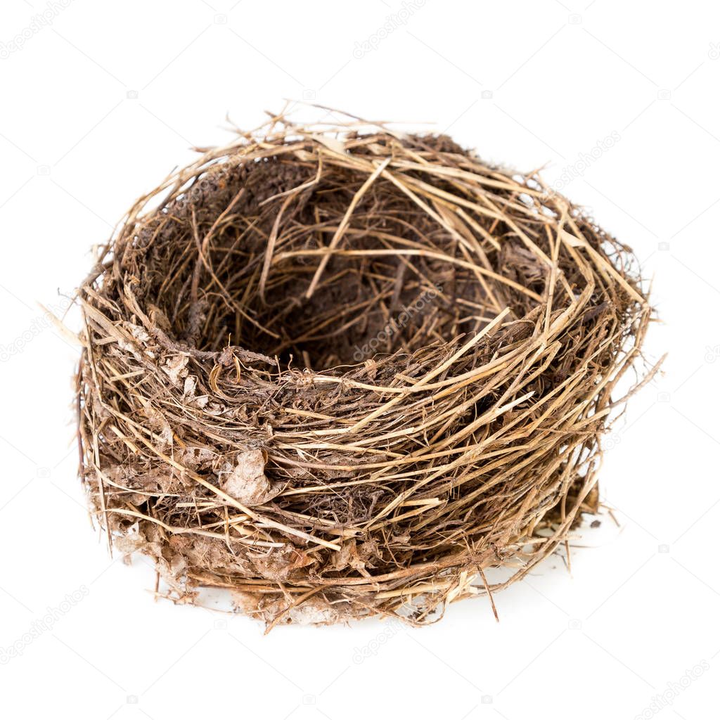 Nest isolated on white Empty nest of a common blackbird or Turdus merula isolated on white background