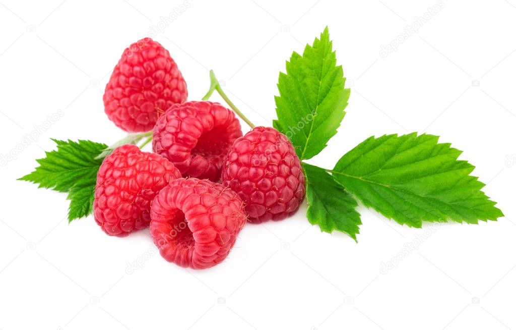 Isolated raspberries Organic raspberry with fresh leaf isolated on white background