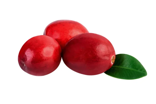 Cranberries isolated on white. Image included clipping path — Stock Photo, Image