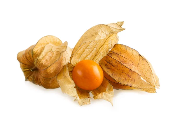 Physalis Groselha Espinhosa Cabo Isolado Branco Frutos Physalis Maduros Com — Fotografia de Stock