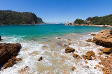 Kuştüyü lagün, Knysna, Güney Afrika, kuştüyü tabiatı